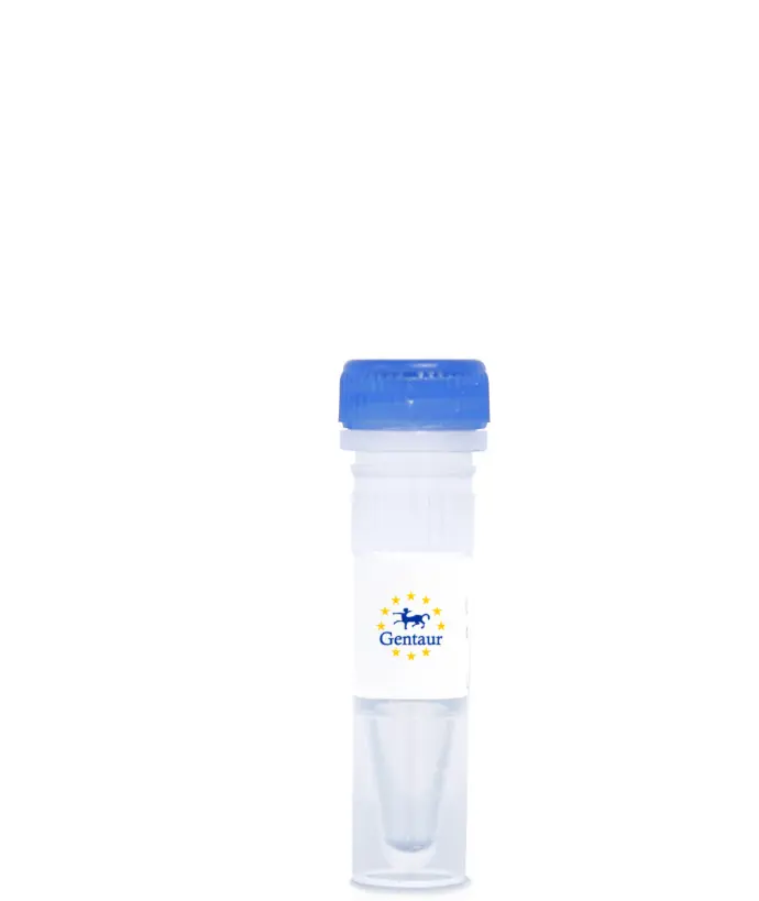 Cholera Toxin, beta (Cholera Enterotoxin beta, Choleragenoid, CTX B, CTXB, CTX-B, TOXB, VC1456) (APC)